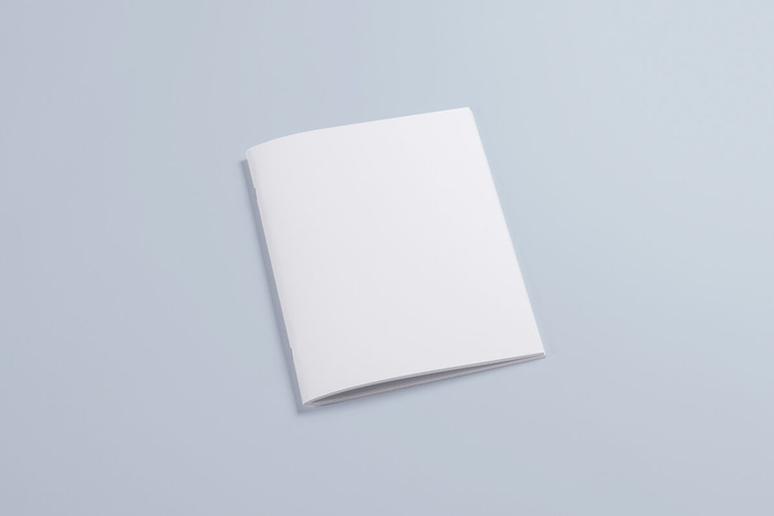 产品画册提案效果样机模板