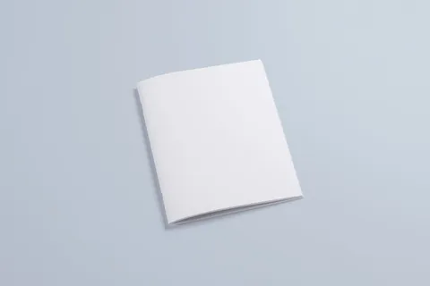 产品画册提案效果样机模板