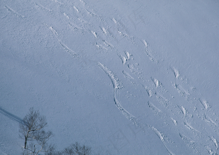 滑雪图片
