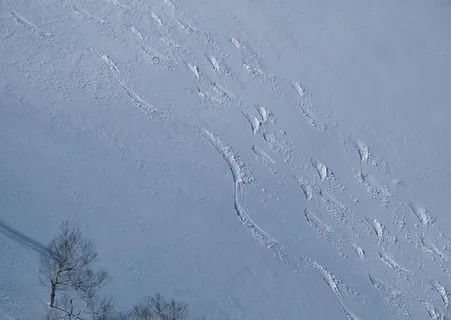 滑雪图片 滑雪图片