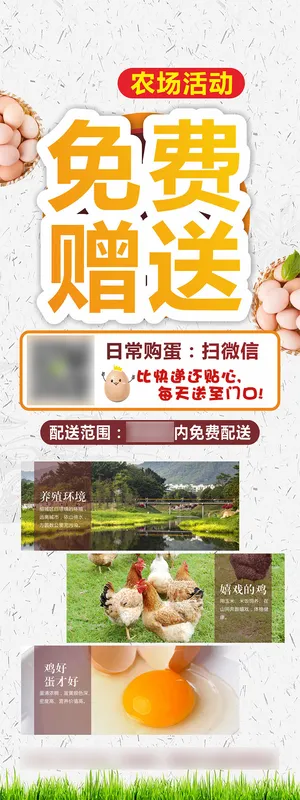 鸡蛋展架活动免费赠送 鸡蛋展架活动免费赠送
