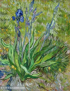 梵高鸢尾花花草风景油画图 梵高鸢尾花花草风景油画图