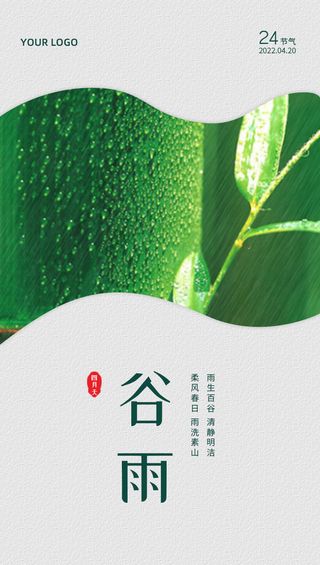春意简约谷雨海报