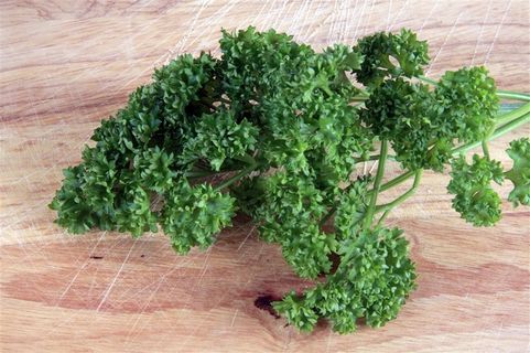 西餐配菜法香图片