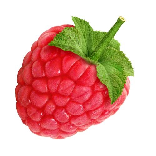 覆盆子 PNG免抠(500x500)