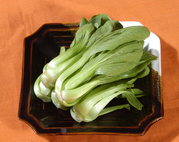   小油菜