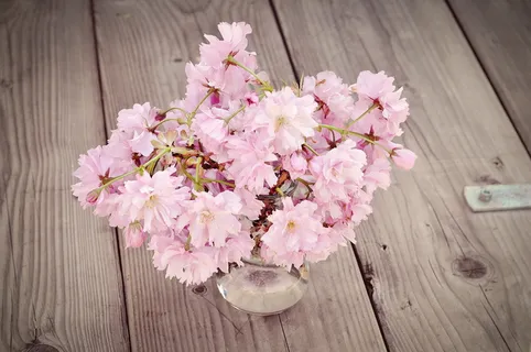粉色樱花插花图片 粉色樱花插花图片
