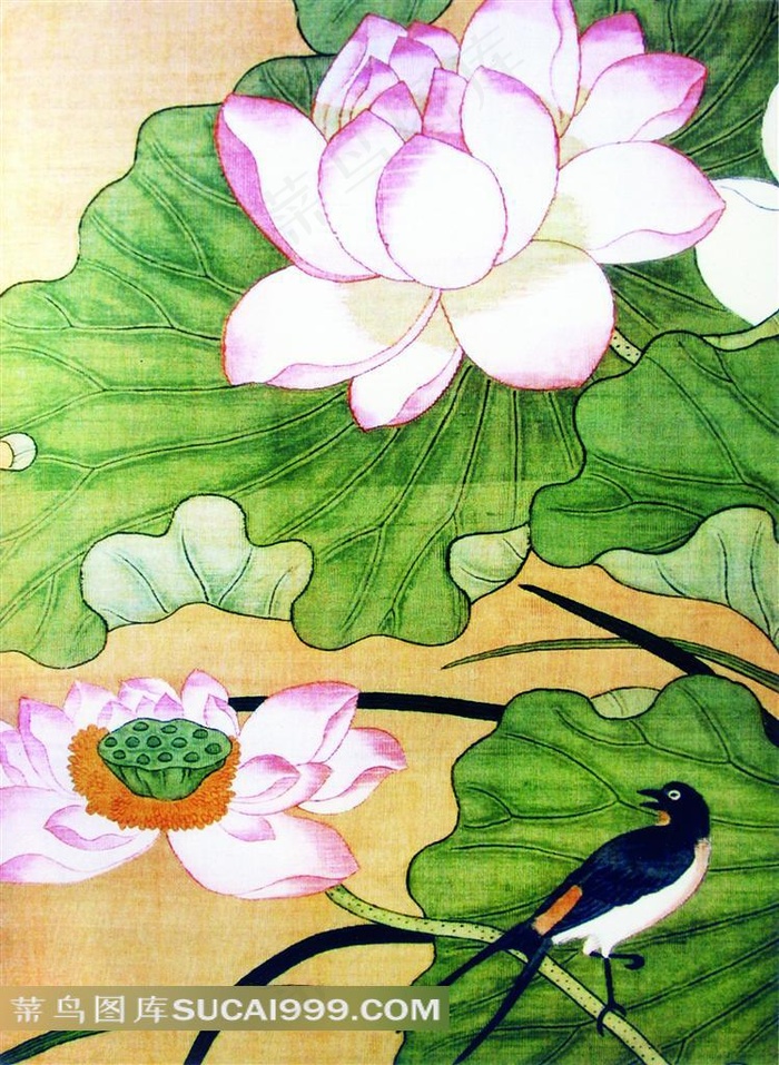 喜鹊荷花花鸟画素材
