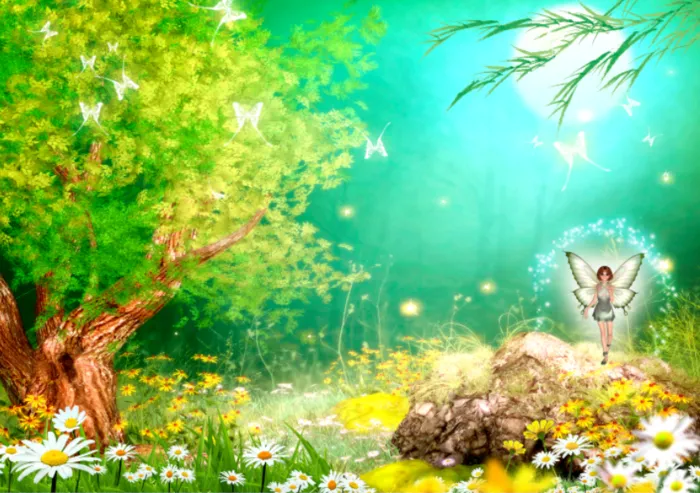 美丽绿色花卉菊花背景