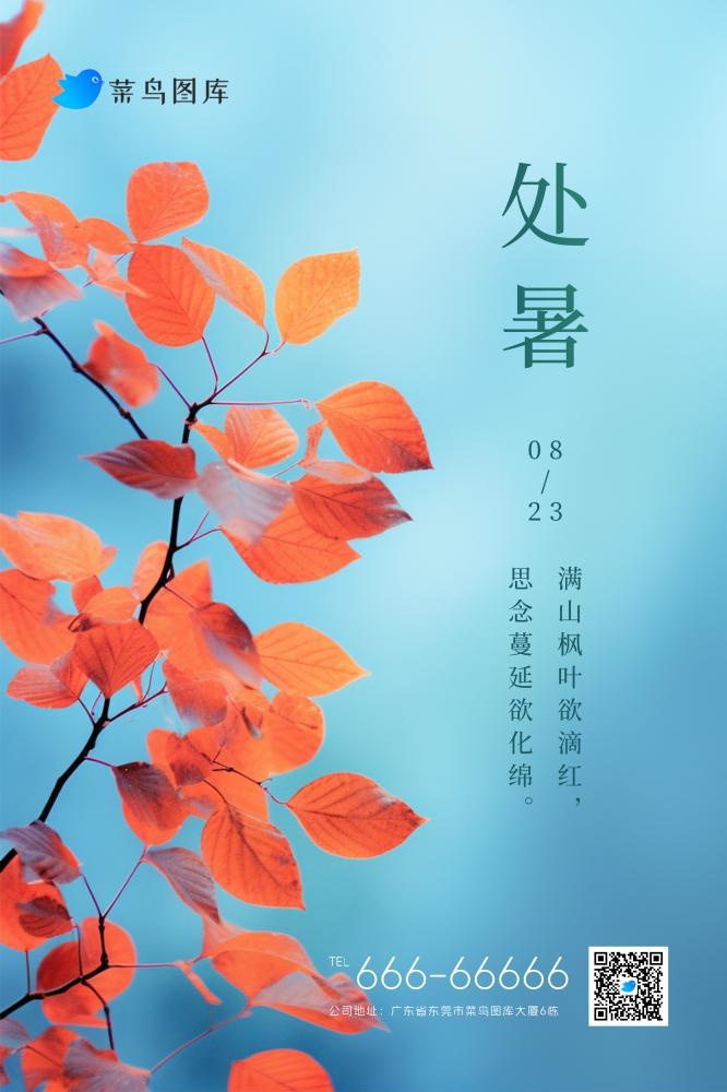 处暑简约大气红叶枝叶节气海报(2362x3543)psd模版下载