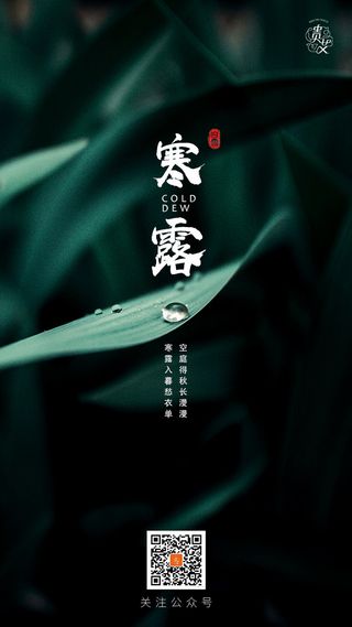 寒露节气海报二十四节气