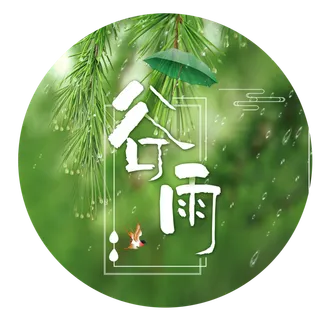谷雨字体插画 