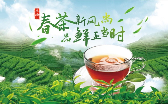 春茶新上市psd模版下载