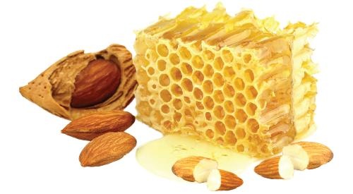 蜂蜜 PNG免抠(500x275)