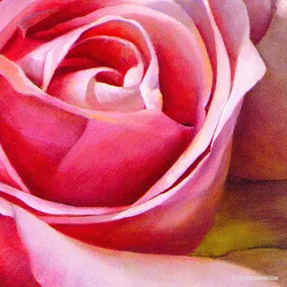 唯美粉色花朵高清油画