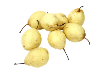 免抠png素材 散装梨新鲜水果 超市促销宣传 超市商品实拍