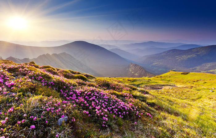 美丽山顶山水风景图片