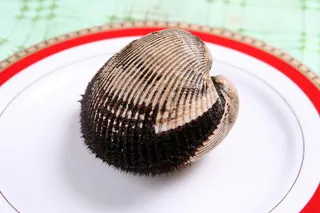 48  赤贝-阳滩鱼港(2006)