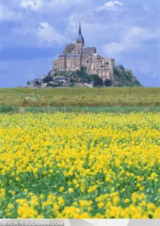 古建筑-一片花海后的坡地豪华城堡