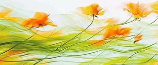 橙色鲜花意境流水渐变朦胧背景