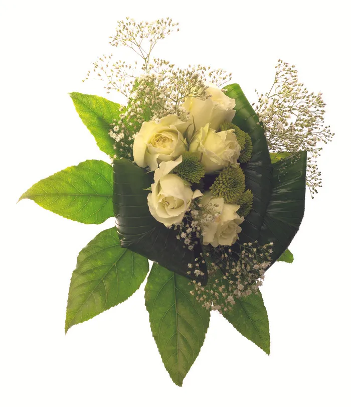 淡雅花束图片
