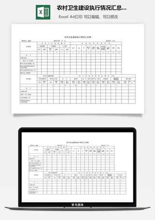 农村卫生建设执行情况汇总表excel模板