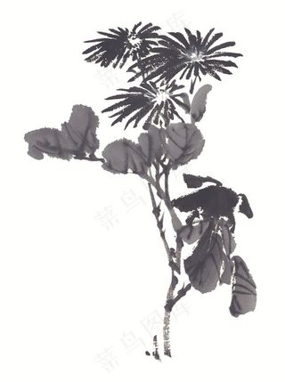 写意花卉美术绘画素材