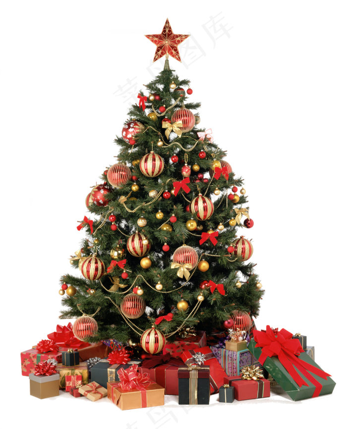 圣诞树图片