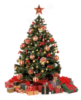 圣诞树图片