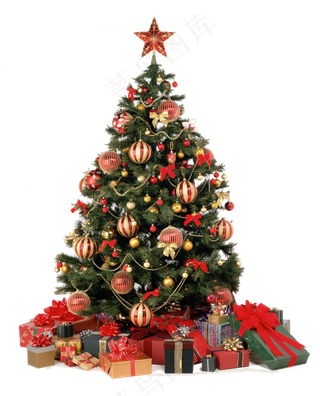 圣诞树图片