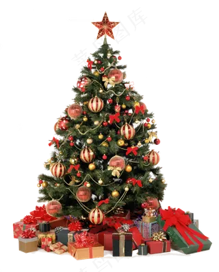 圣诞树图片