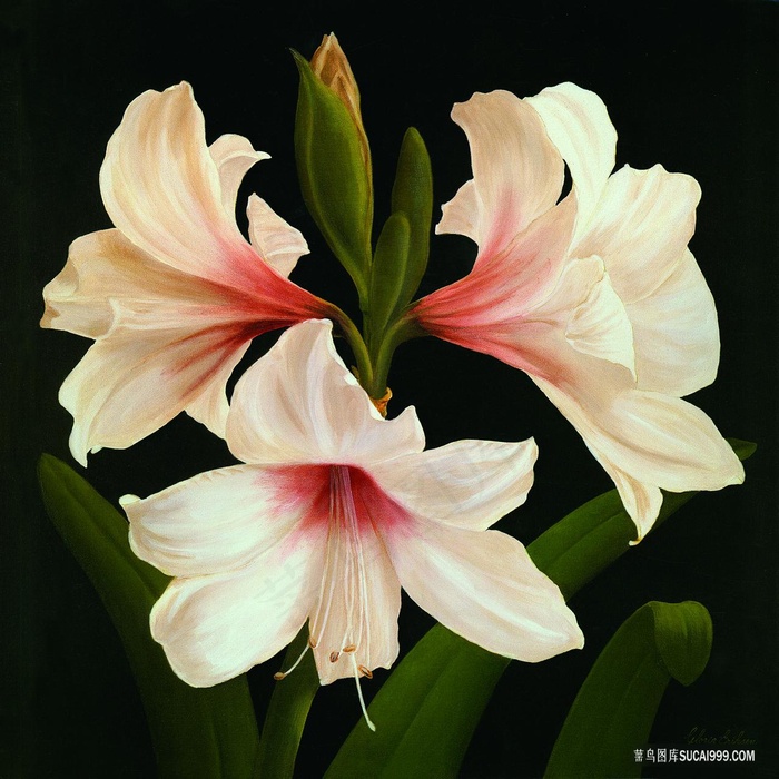 唯美喇叭花高清油画