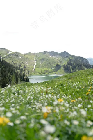 绿色春暖花开图片