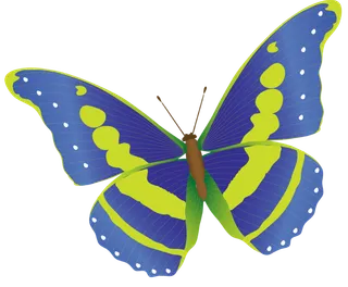 卡通动画动画蝴蝶免扣PNG手绘插画图片素材 (139)