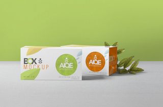 高端品牌茶叶包装盒纸袋智能贴图样机产品效果图展示PSD素材模板