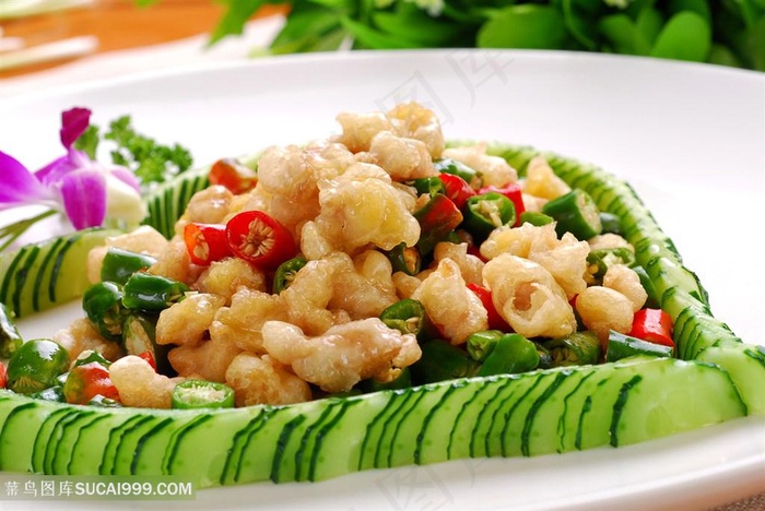 美极掌中宝中华美食摄影图