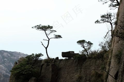 山尖上生长的小松树庙