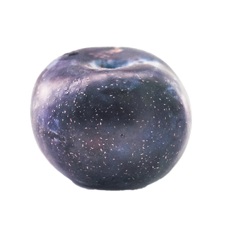 79黑布林 (1)水果超市商品白底图免抠实物摄影png格式图片透明底