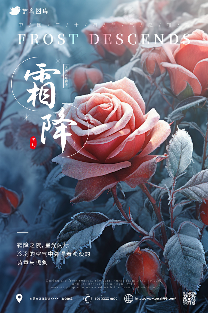 花朵 意境 结霜 霜降节气海报 ai矢量模版下载