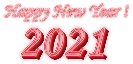 2021 年 PNG免抠(600x291)