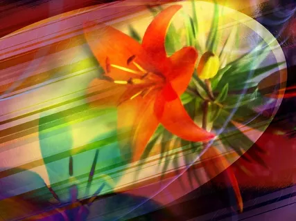 图片设计素材背景鸟语花香