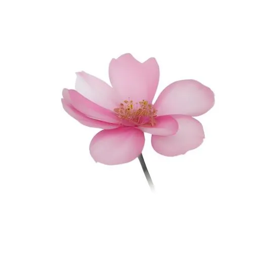 花免抠(2048x2048)