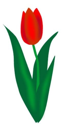 郁金香 PNG免抠(250x500)