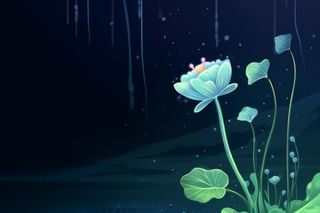 国风夜晚荷花荷叶大气背景