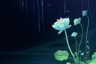 国风夜晚荷花荷叶大气背景