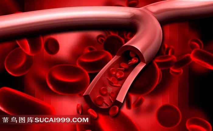 红色血管细胞