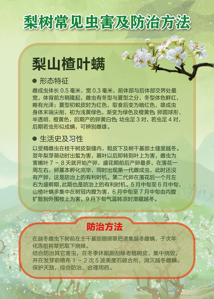 梨树常见虫害及防治方法海报