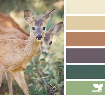 动物配色色卡色彩搭配