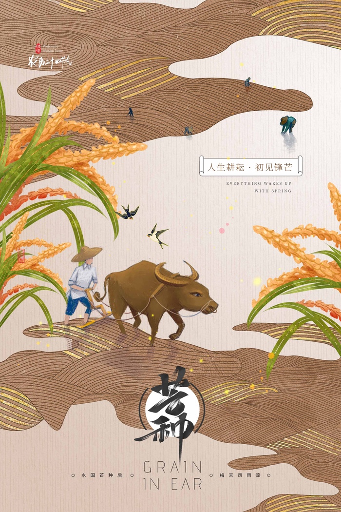 芒种 芒种海报