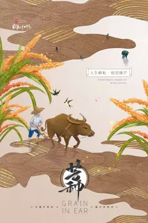 芒种 芒种海报